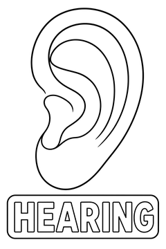 Hearing line art