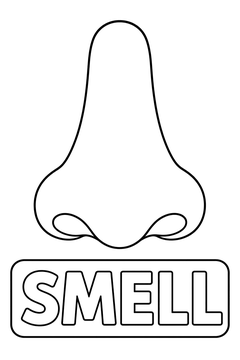 Smell line art