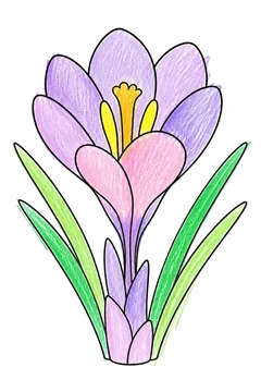 Colored example 2