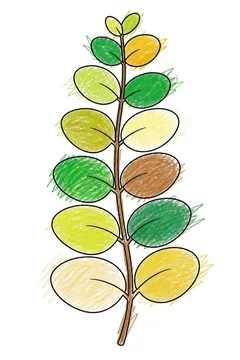 Colored example 1