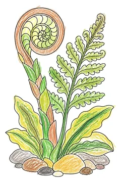 Colored example 1