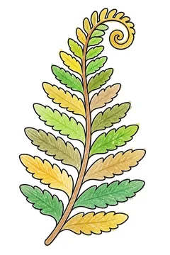 Colored example 2