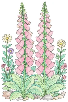 Colored example 2