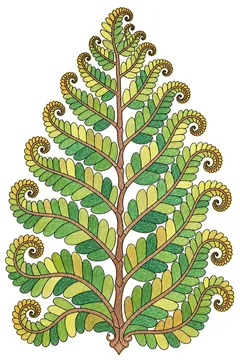 Colored example 2