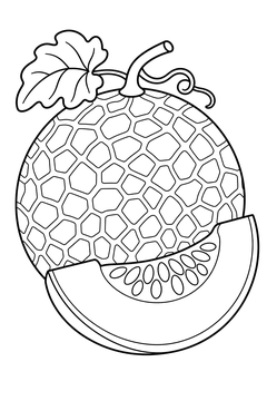 Cantaloupe line art