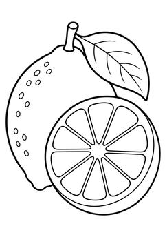 Lime line art