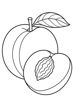 Nectarine line art