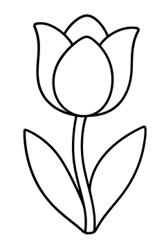 Single Tulip line art