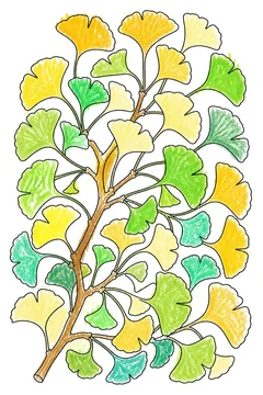 Colored example 1