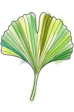 Colored example 1