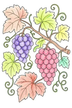 Colored example 2