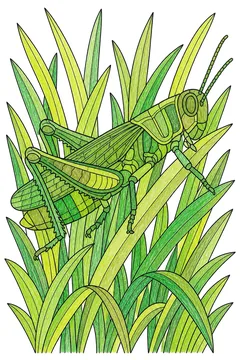 Colored example 3