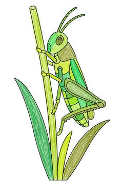 Colored example 2