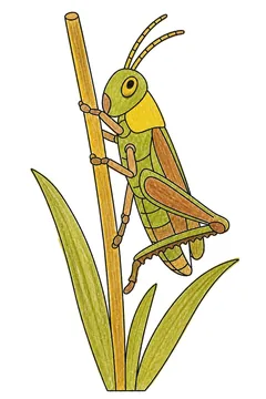 Colored example 3