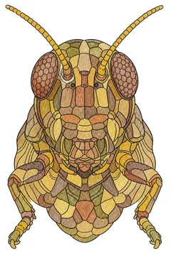 Colored example 2