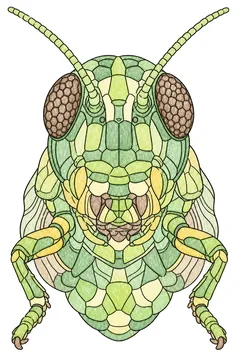 Colored example 3