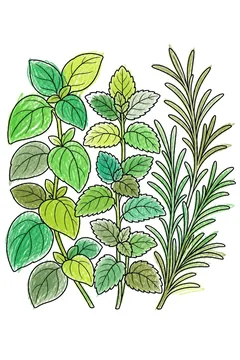 Colored example 1