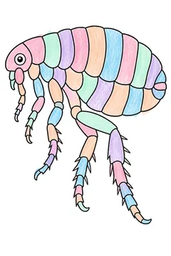 Colored example 3