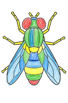 Colored example 2