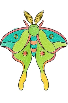 Colored example 2