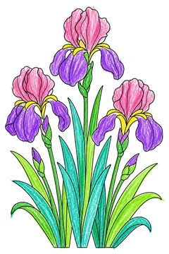Colored example 2