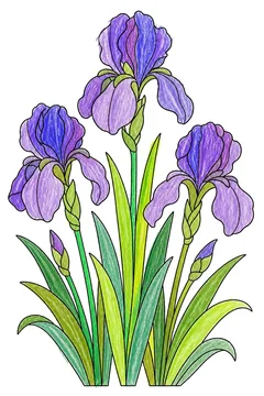 Colored example 3
