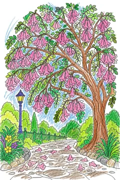 Colored example 1