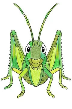 Colored example 1