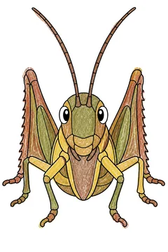 Colored example 3