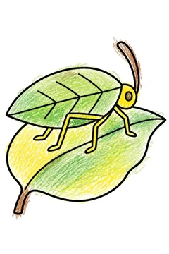 Colored example 1