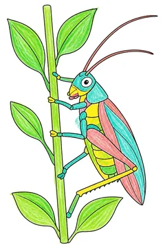 Colored example 2
