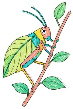 Colored example 1