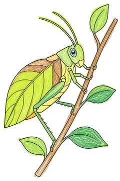 Colored example 2
