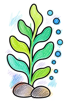 Colored example 2