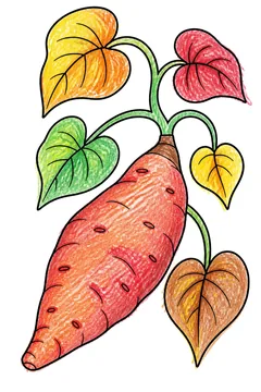 Colored example 2
