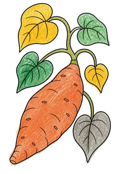 Colored example 3