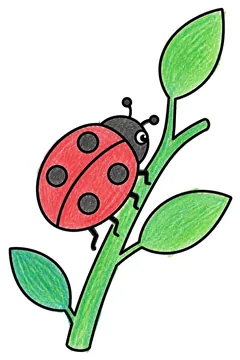 Colored example 3
