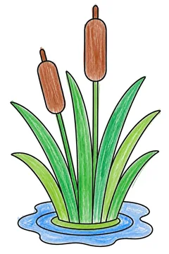 Colored example 3