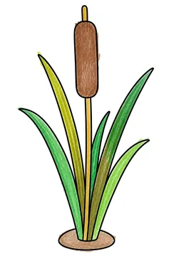 Colored example 3