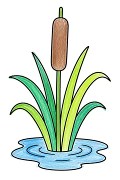 Colored example 2