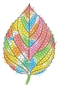 Colored example 1