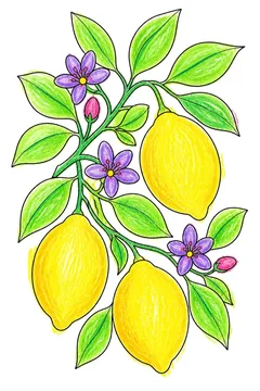 Colored example 2