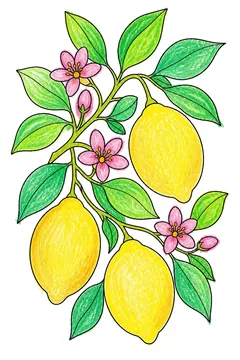 Colored example 3