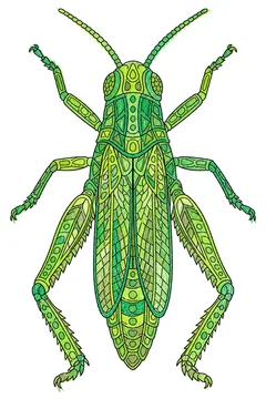 Colored example 1