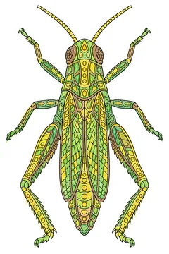 Colored example 2