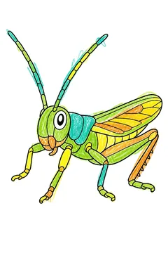 Colored example 1