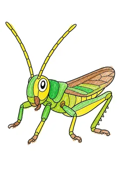 Colored example 3