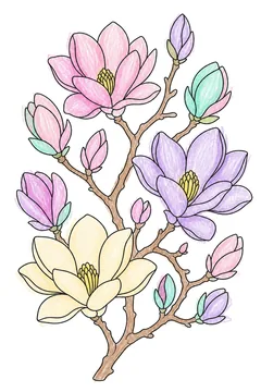 Colored example 2