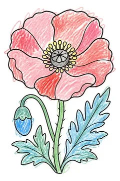 Colored example 1