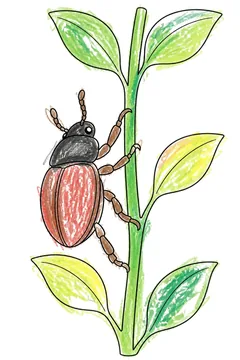 Colored example 1